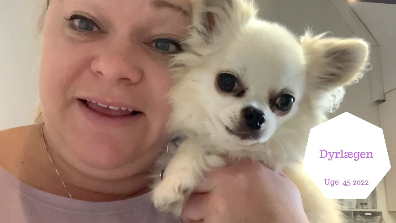 VORES HUND BLIVER SYG - VI SKAL TIL DYRLÆGEN