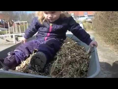 We moved some mulch