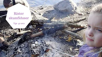 SKØN TUR I SKOVEN MED SKUMFIDUSER OVER BÅL