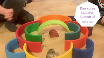 SJOV HAMSTER LEG MED REGNBUE