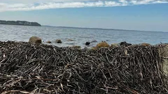 ASMR WHITE NOISE - BØLGE GANG - CALMING WAY TO FALL ASLEEP