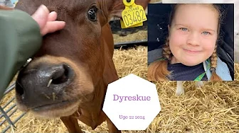 MED ZOES SKOLE PÅ UDFLUGT TIL ROSKILDE DYRESKUE