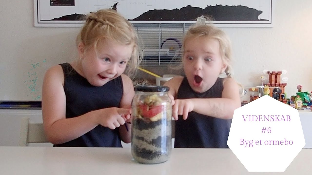 VIDENSKAB #6 BYG ET ORMEBO
