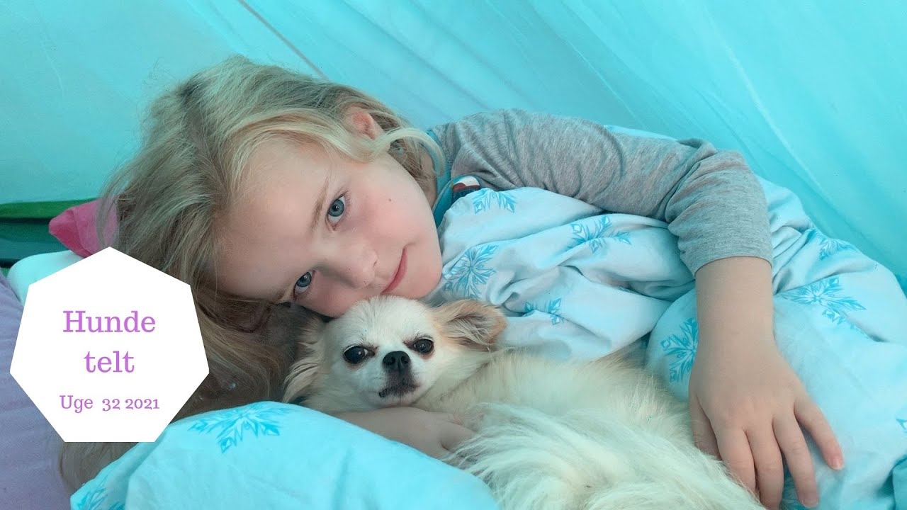 VI SOVER I TELT IGEN MED VORES HUND