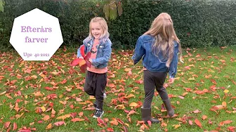 SMUKT EFTERÅRS NATUR GÅRTUR