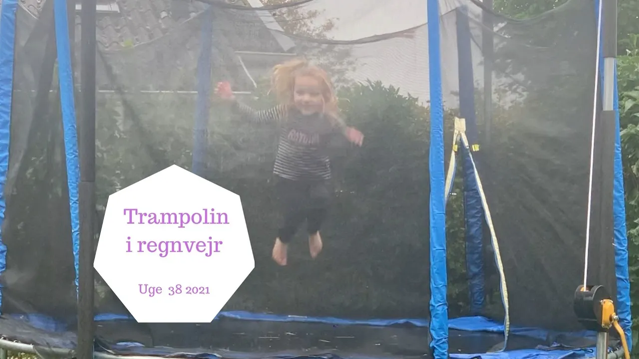 LEV LIVET OG MÆRK DET - HALEY LØBER UD I REGNVEJR