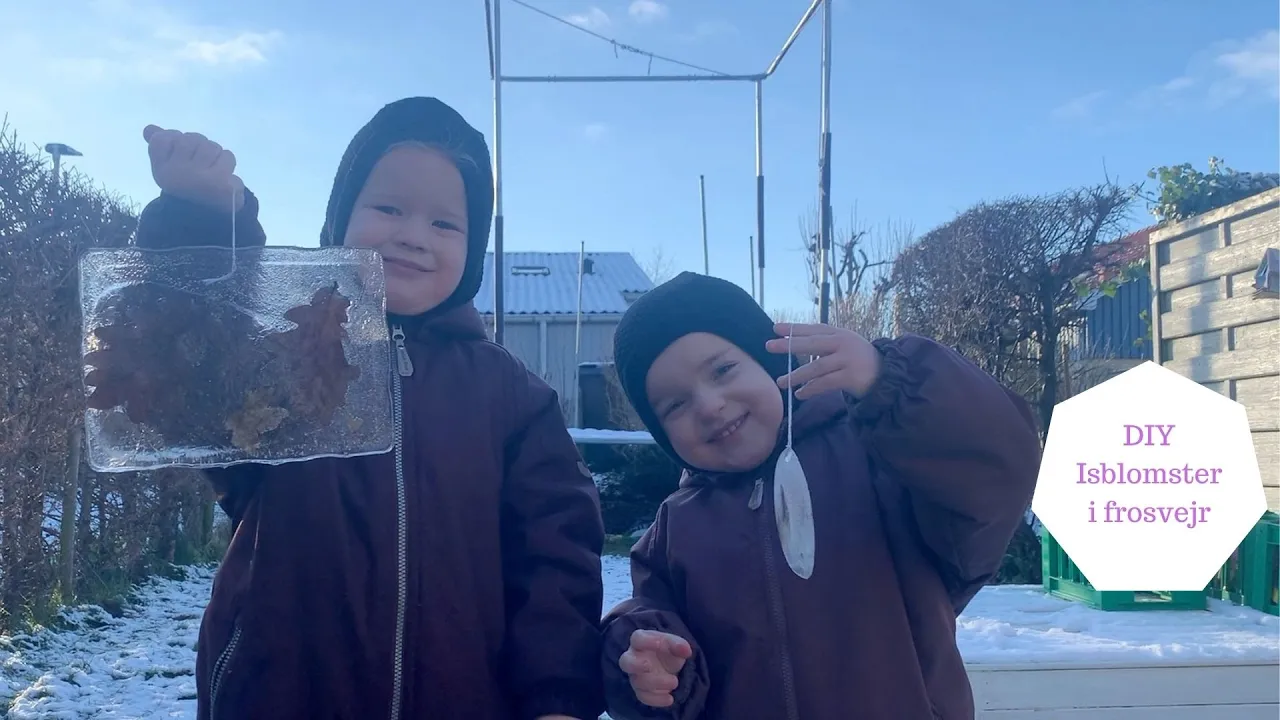 DIY ISBLOMSTER I FROSTVEJR
