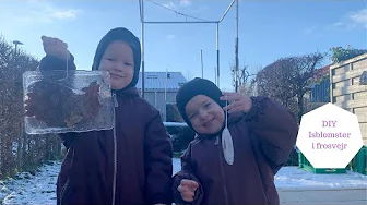 DIY ISBLOMSTER I FROSTVEJR