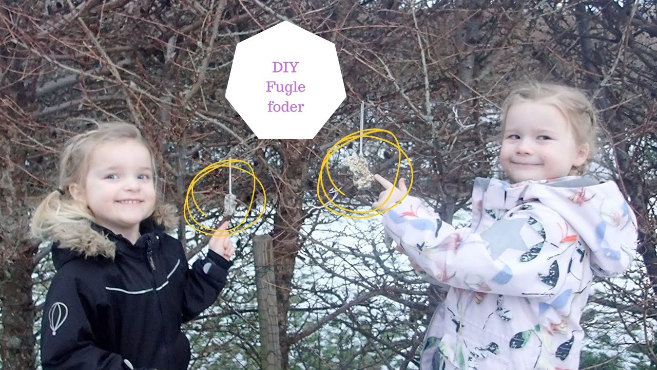 DIY FUGLE FODER