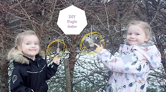 DIY FUGLE FODER