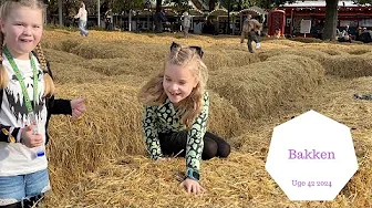 Det er Mega Sjovt på BAKKEN i EFTERÅRSFERIEN