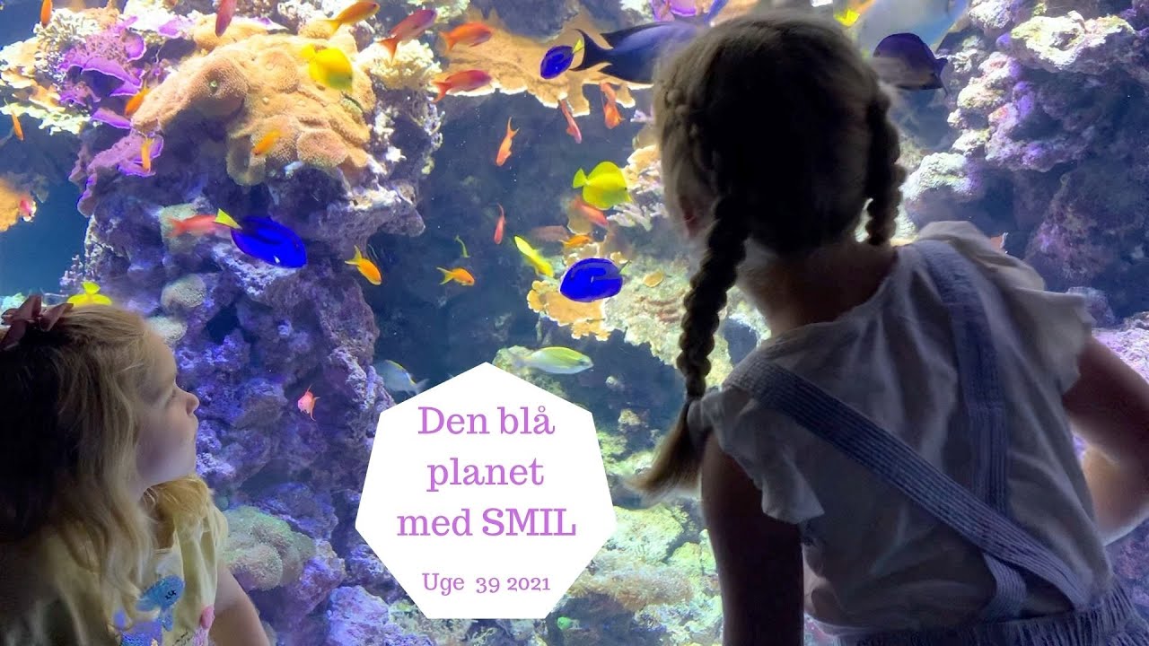 UNIK TUR TIL DEN BLÅ PLANET MED SMIL FONDEN