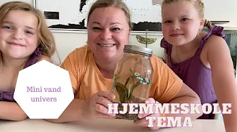 HJEMMESKOLE TEMA - MINI VAND UNIVERS