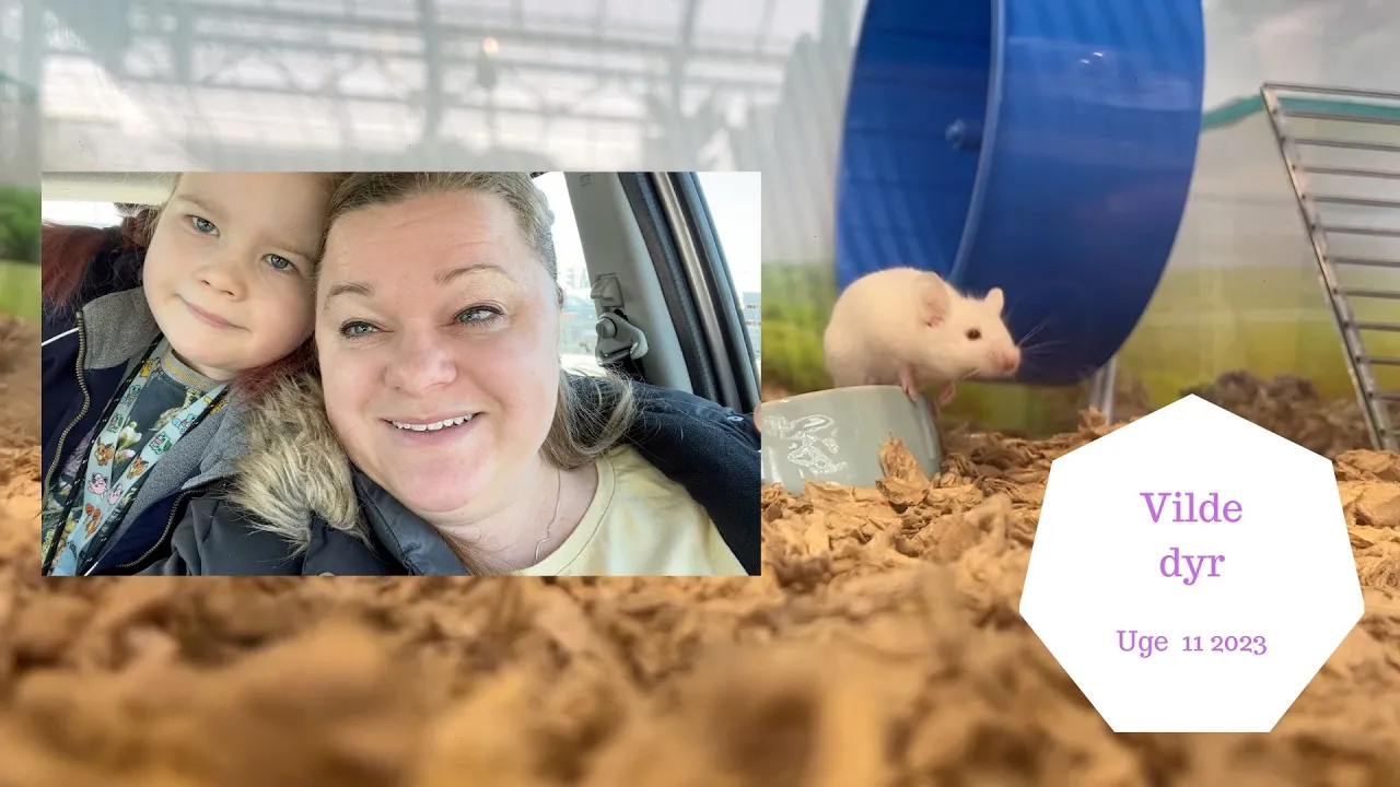 FINDER VILDE DYR I PLANTORAMA