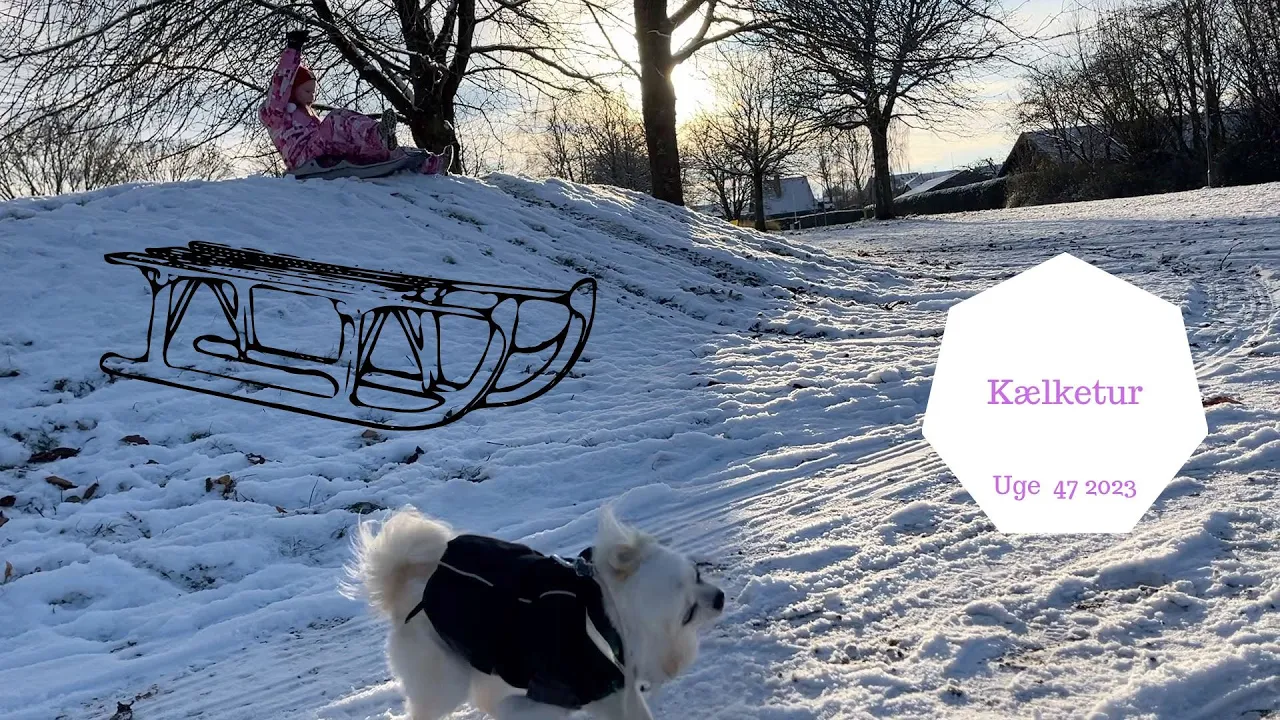 VINTERENS FØRSTE KÆLKETUR