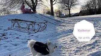 VINTERENS FØRSTE KÆLKETUR