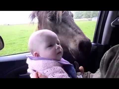 I'm in Alt for damerne