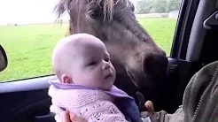 I'm in Alt for damerne