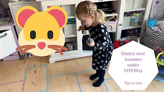 HINKER MED HAMSTER - VI VIL GERNE HAVE NYT HAMSTERBUR