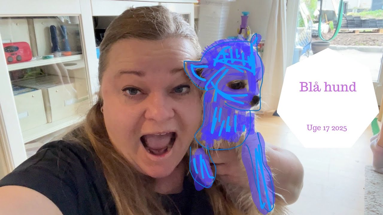 Vi Farver Coco BLÅ - Kan vi farve vores HUND