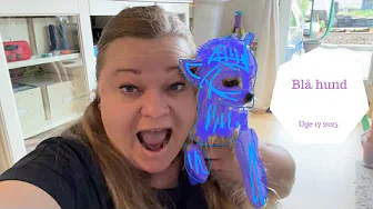 Vi Farver Coco BLÅ - Kan vi farve vores HUND