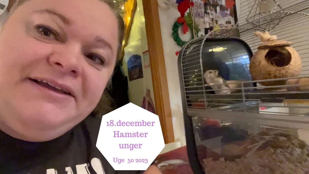 18. DECEMBER VORES HAMSTER HAR FÅET UNGER - HVOR MANGE UNGER FINDER JEG?