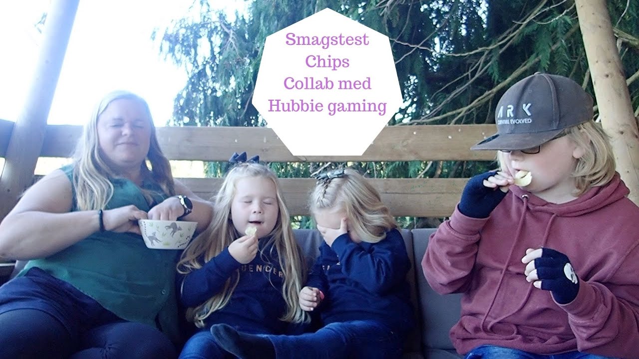 BILLIG VERSUS DYR - HVILKEN CHIPS SMAGER BEDST COLLAB MED HUBBIE GAMING