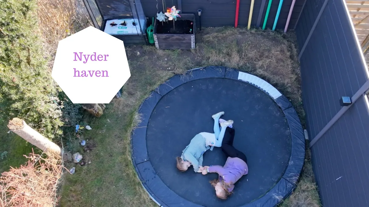Sygedag - Nyder haven