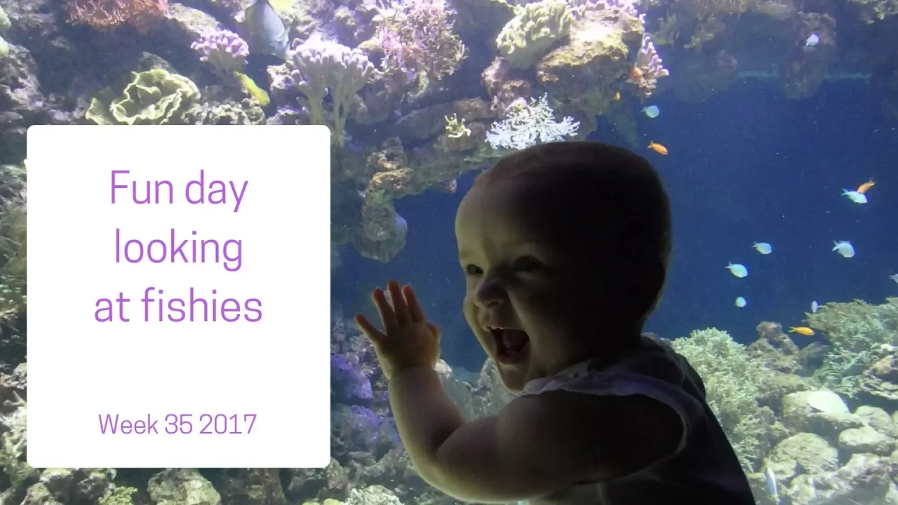 Fun day looking at fishes