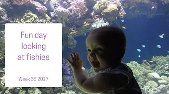 Fun day looking at fishes