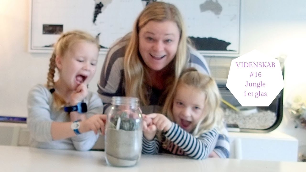 VIDENSKAB #16 JUNGLE I ET GLAS
