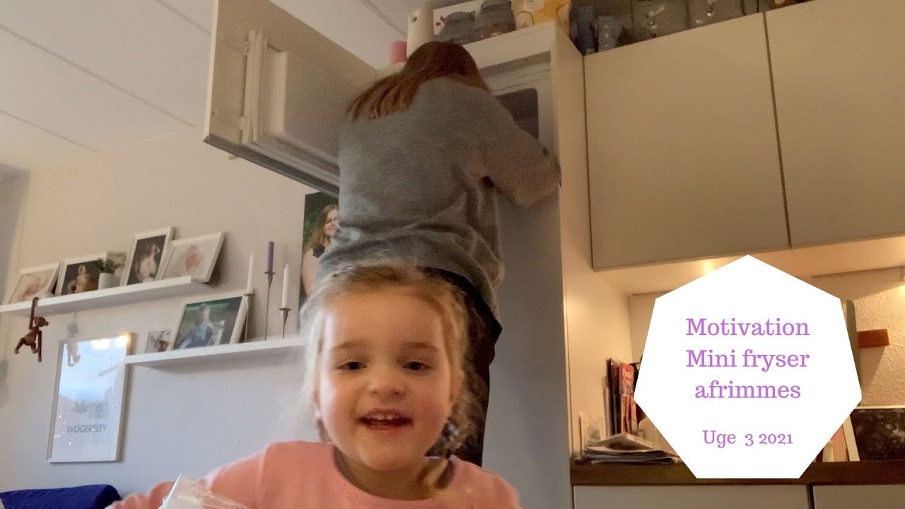 AFRIMNING AF MINI FRYSER - MOTIVATION TIL OPRYDNING