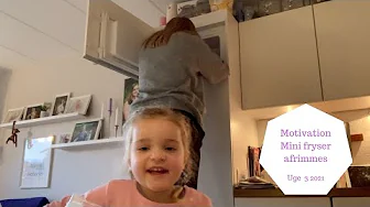 AFRIMNING AF MINI FRYSER - MOTIVATION TIL OPRYDNING