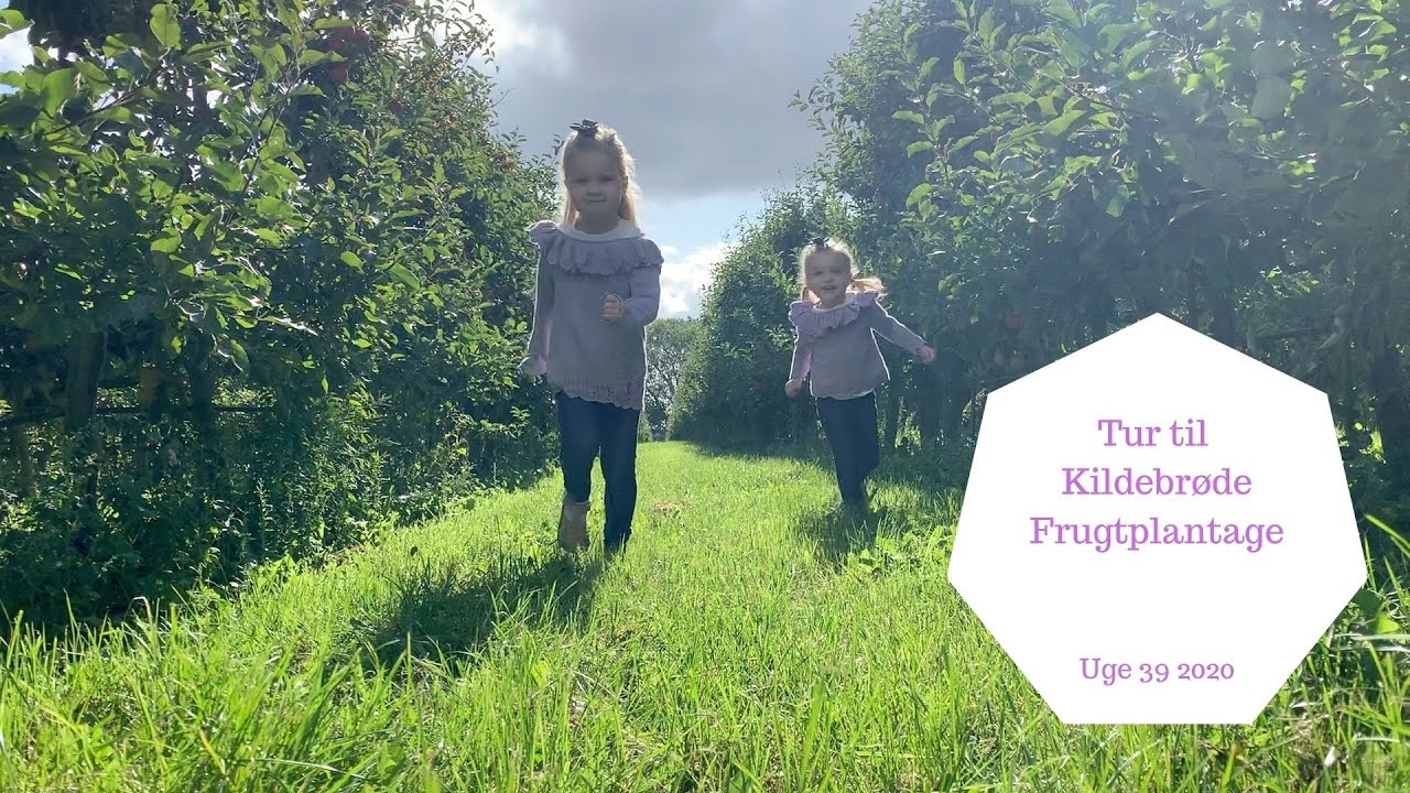 TUR TIL KILDEBRØDE FRUGTPLANTAGE OG BILKA - VI VISER HVAD VI HAR KØBT I BILKA