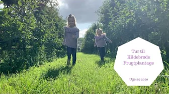 TUR TIL KILDEBRØDE FRUGTPLANTAGE OG BILKA - VI VISER HVAD VI HAR KØBT I BILKA