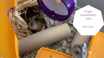 VI GØR HAMSTERBUR RENT