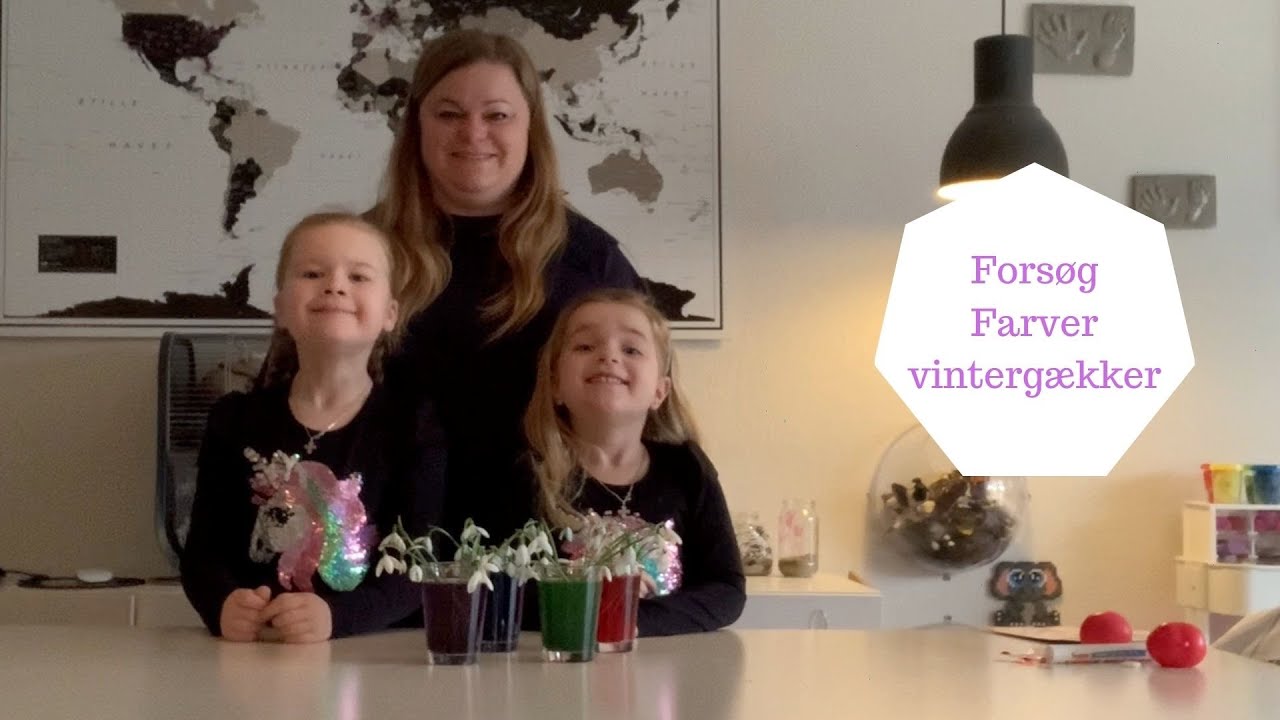 FORSØG FARVER VINTERGÆKKER