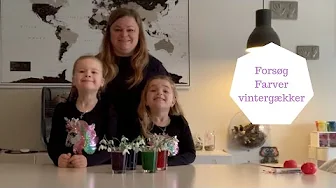 FORSØG FARVER VINTERGÆKKER