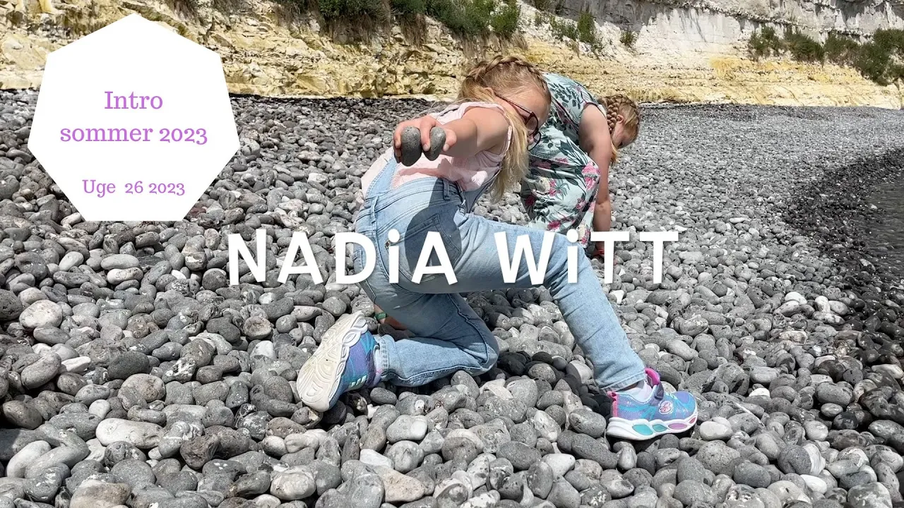 VORES NYE SOMMER INTRO 2023 - HVAD SYNES I?