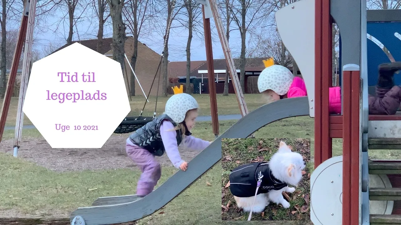 AFTEN GÅTUR MED COCO