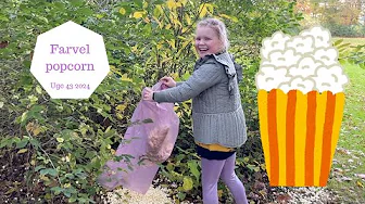 Giver fuglene alle vores POPCORN