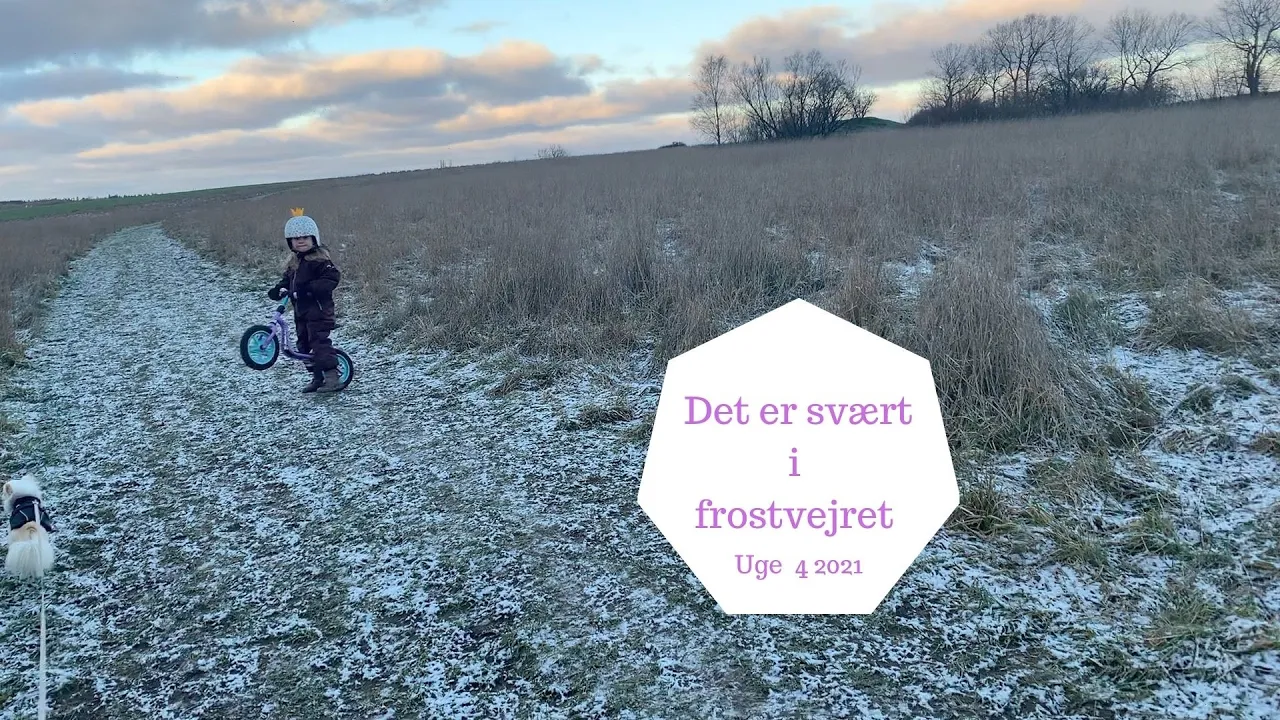 CYKELTUR I FROSTVEJR