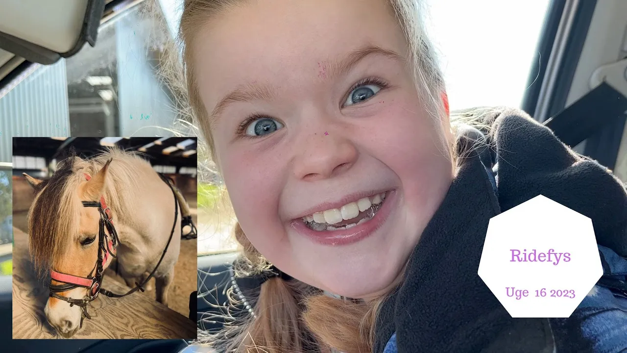 BEGYNDER TIL RIDEFYS - MON VI KOMMER PÅ HESTEN?