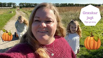 Finder det Perfekte GRÆSKAR