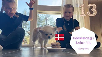 Fejrer Cocos FØDSELSDAG i LALANDIA
