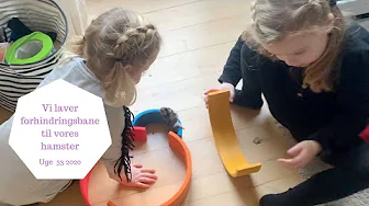 VI LAVER EN FORHINDRINGSBANE TIL VORES HAMSTER UGE 53 2020