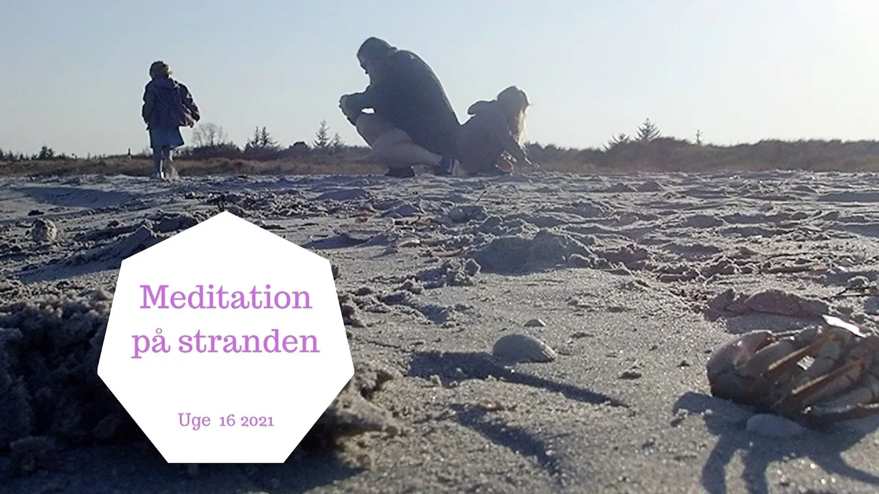 POKEMON GO SPOTLIGHT OG STRANDTUR -  HVEM FINDER FLEST KONKYLIER