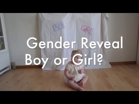 Gender reveal - Boy or Girl?