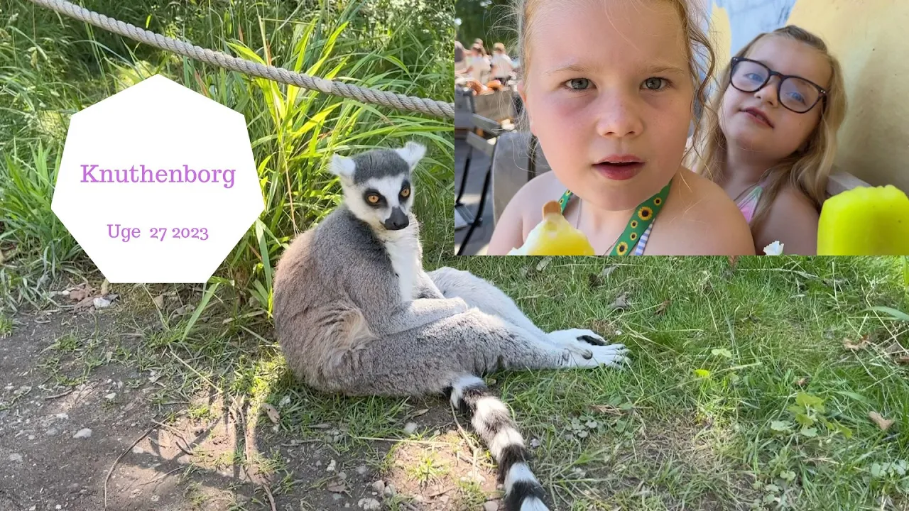 VI SER VILDE DYR I KNUTHENBORG MED SMIL FONDEN