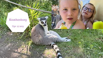 VI SER VILDE DYR I KNUTHENBORG MED SMIL FONDEN